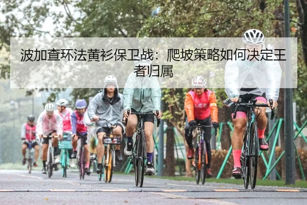 bo-jia-cha-huan-fa-huang-shan-bao-wei-zhan-pa-po-ce-lve-ru-he-jue-ding-wang-zhe-gui-shu-2-662.jpg