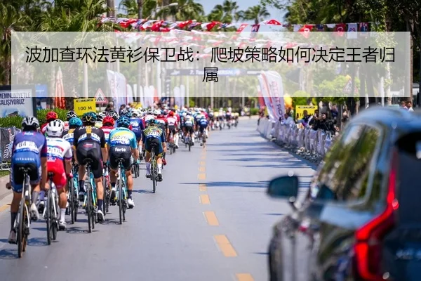 bo-jia-cha-huan-fa-huang-shan-bao-wei-zhan-pa-po-ce-lve-ru-he-jue-ding-wang-zhe-gui-shu-3-365.jpg