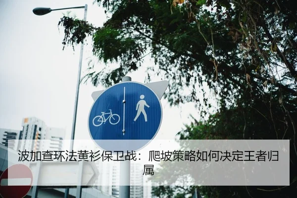 波加查环法黄衫保卫战：爬坡策略如何决定王者归属