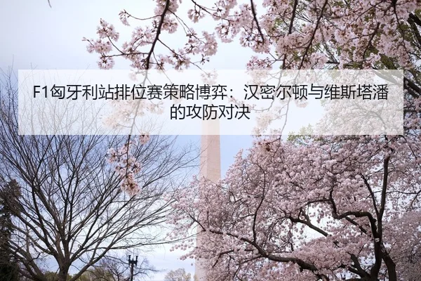 xiong-ya-li-zhan-pai-wei-sai-ce-lve-bo-yi-han-mi-er-dun-yu-wei-si-ta-pan-de-gong-fang-dui-jue-2-126.jpg