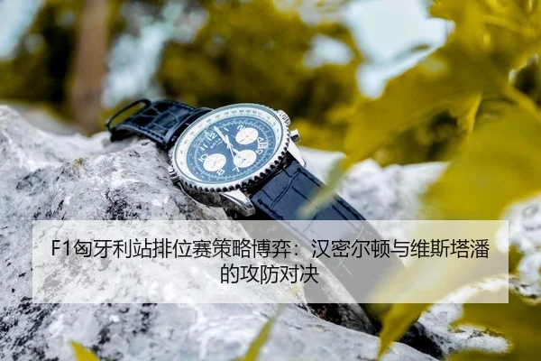 xiong-ya-li-zhan-pai-wei-sai-ce-lve-bo-yi-han-mi-er-dun-yu-wei-si-ta-pan-de-gong-fang-dui-jue-3-440.jpg