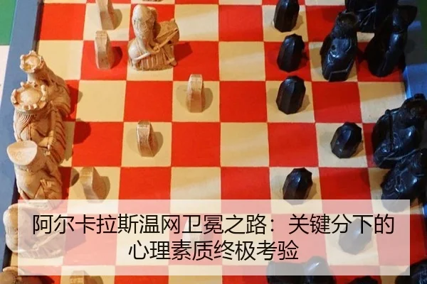 a-er-ka-la-si-wen-wang-wei-mian-zhi-lu-guan-jian-fen-xia-de-xin-li-su-zhi-zhong-ji-kao-yan-3-809.jpg