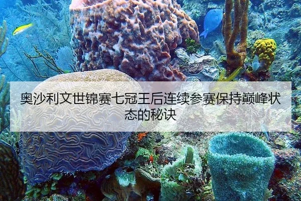 奥沙利文世锦赛七冠王后连续参赛保持巅峰状态的秘诀