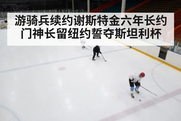 ice hockey rink