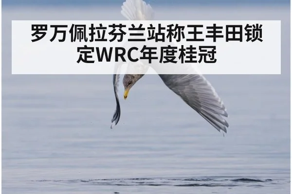 罗万佩拉芬兰站称王丰田锁定WRC年度桂冠